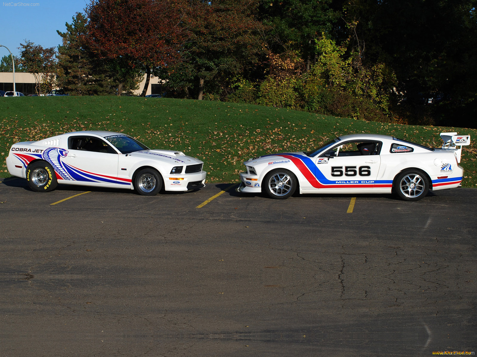 ford, mustang, fr500cj, cobra, jet, 2008, 